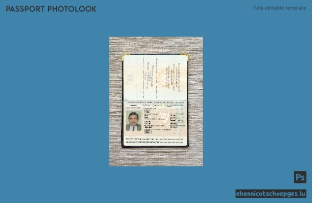 Beispielansicht für das Passfoto des zyprischen Reisepasses (Version 2)